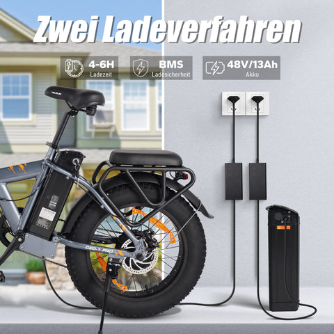 VARUN Fat Tire Universal Elektrofahrrad, 20''*4.0 Männer Frauen City E-Bike mit 48V13Ah Akku, 250W Motor, mit LCD-Meter, Elektrofahrrad für Seeseite verschneite Straßen Stadtstraßen